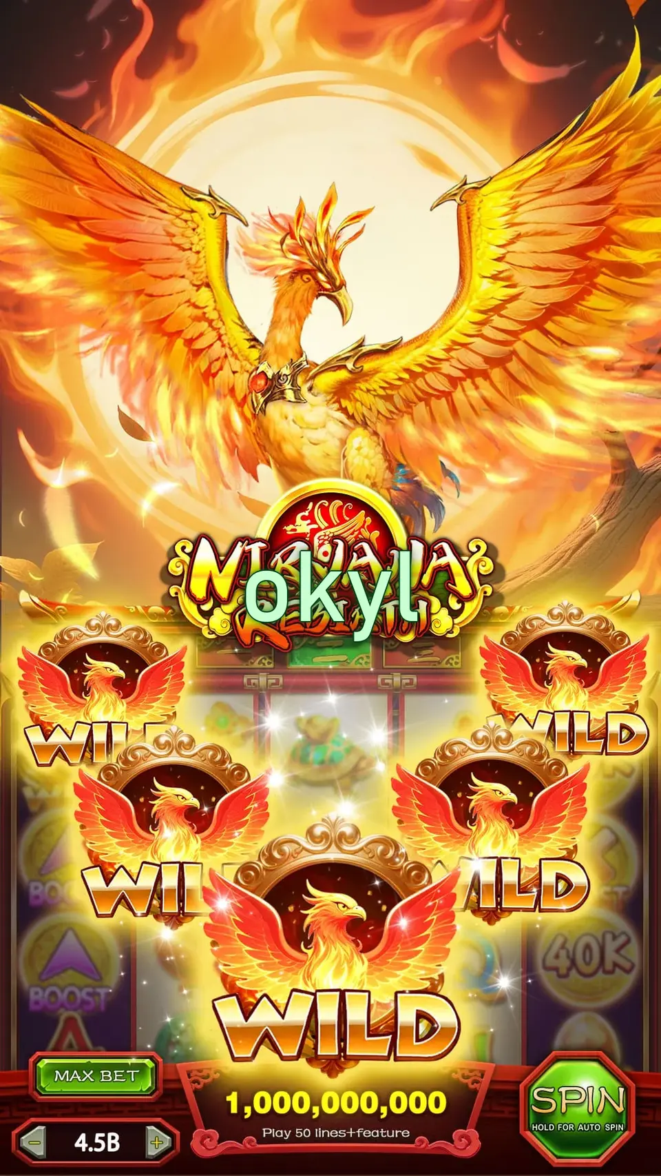 okyl Login
